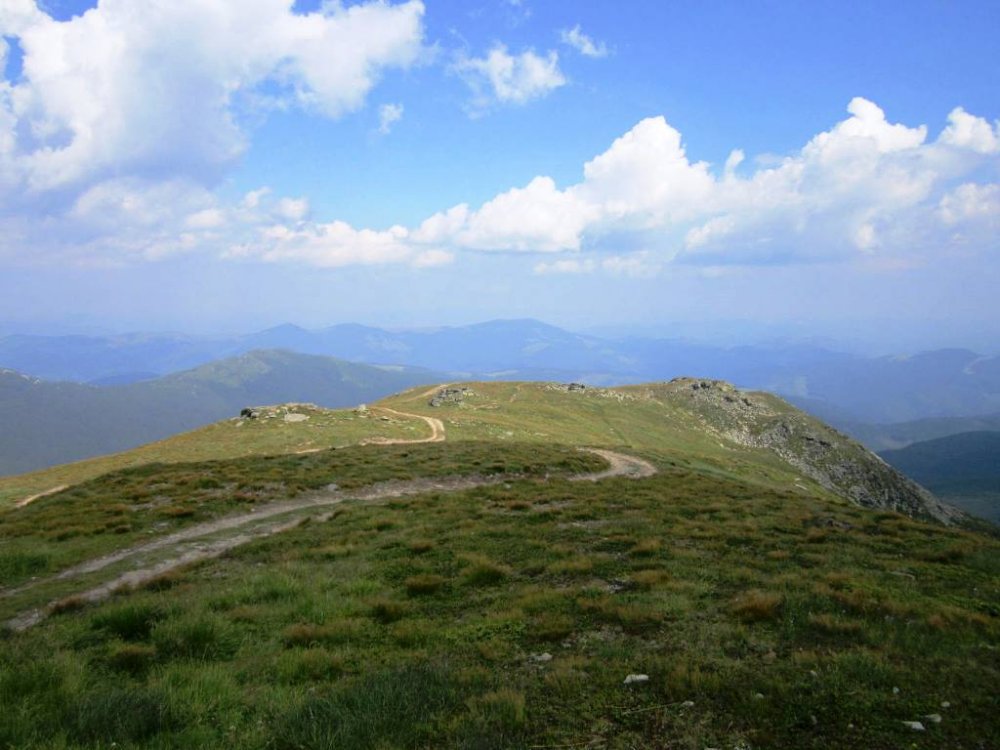 IMG_5938.JPG