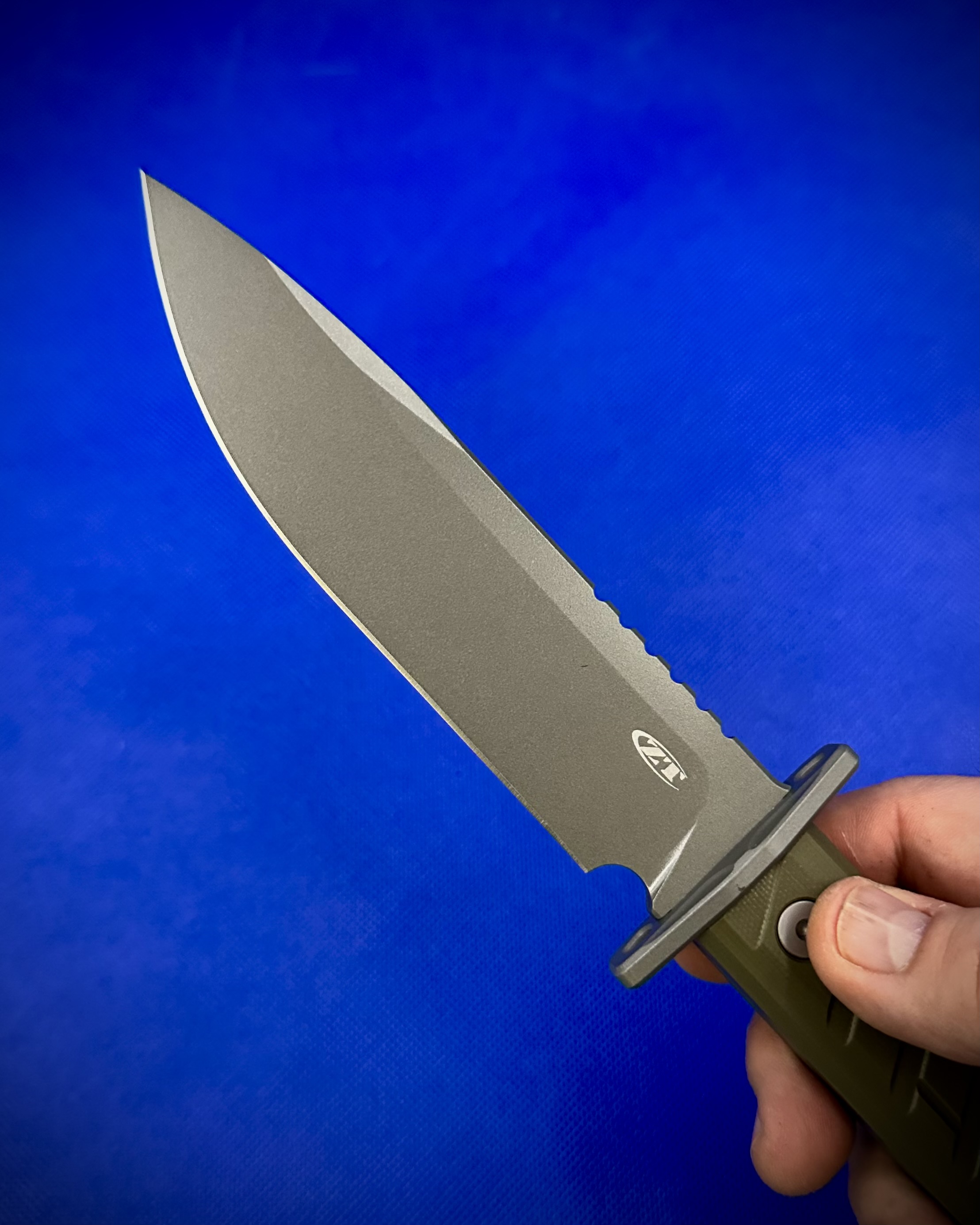 IMG_5945.jpeg