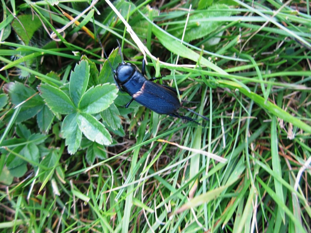 IMG_5955.JPG
