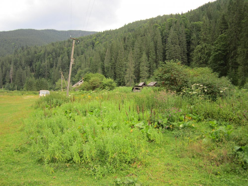 IMG_6157.JPG