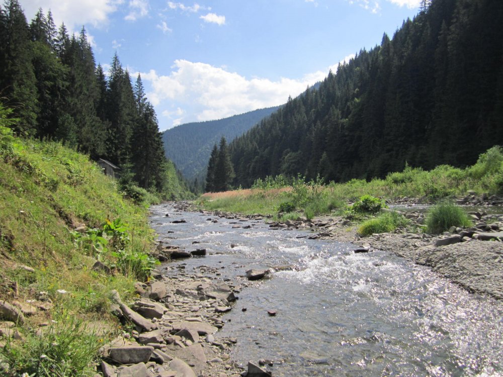 IMG_6163.JPG