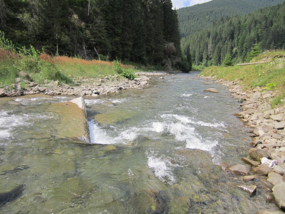 IMG_6166.JPG