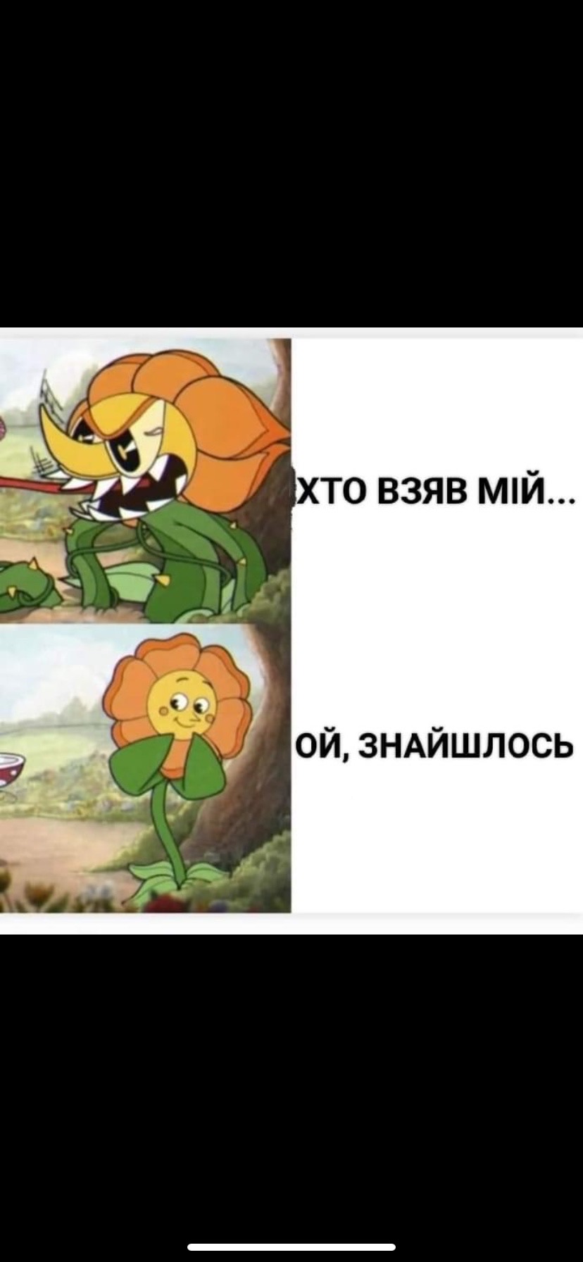 IMG_6407.jpeg