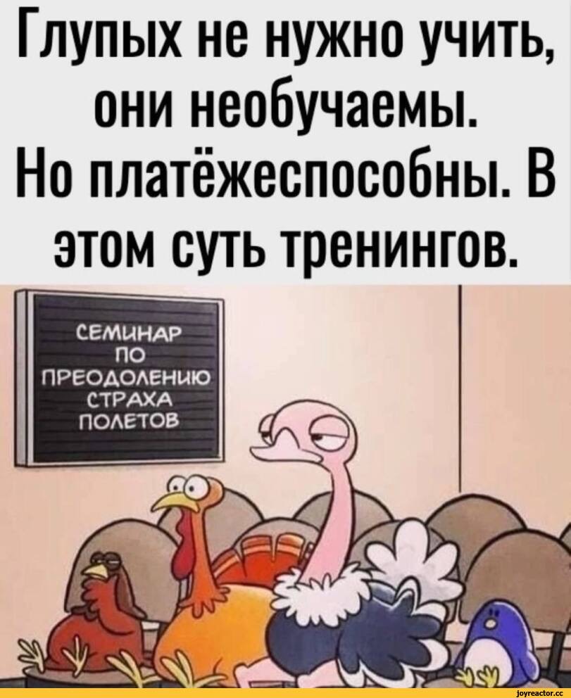IMG_6458.jpeg