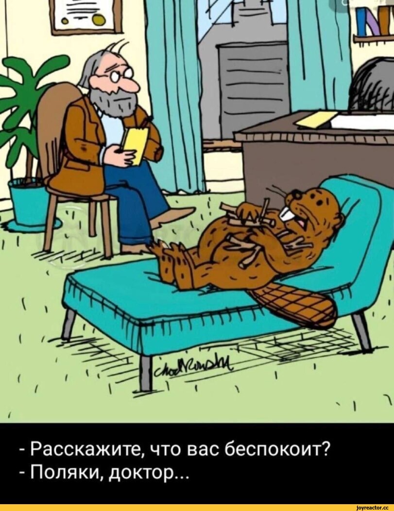 IMG_6462.jpeg