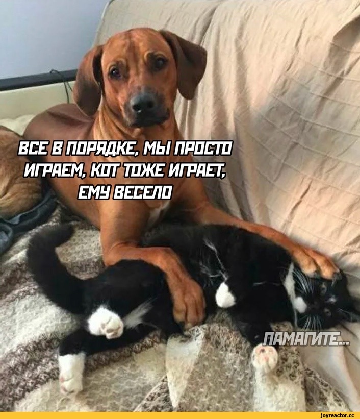 IMG_6464.jpeg