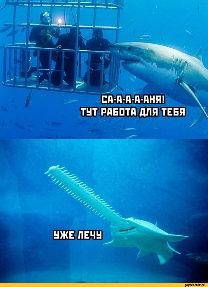 IMG_6471.jpeg