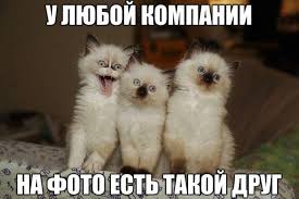 IMG_6513.jpeg