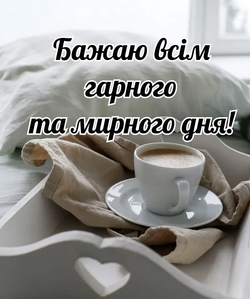 IMG_6529.jpeg