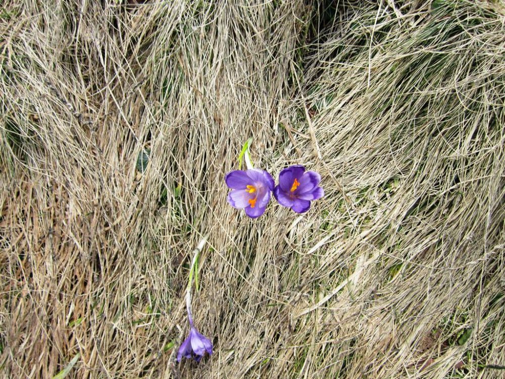 IMG_6647.JPG