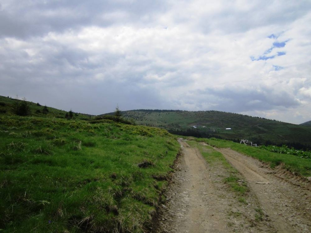 IMG_6653.JPG