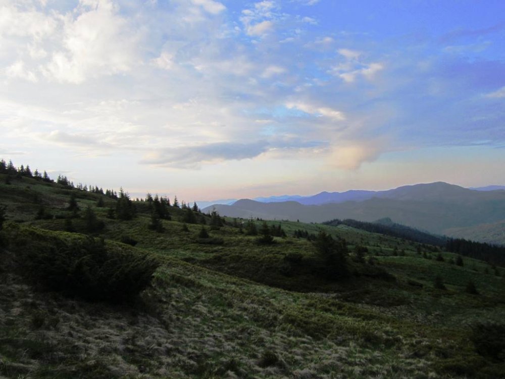 IMG_6694.JPG