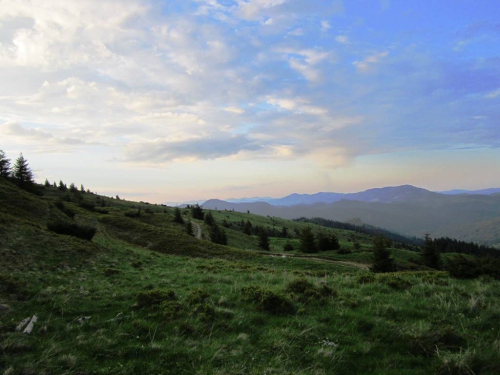 IMG_6700.JPG
