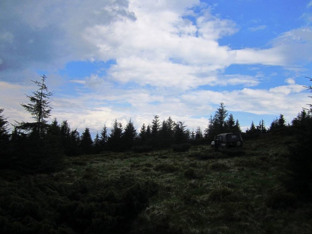 IMG_6785.JPG