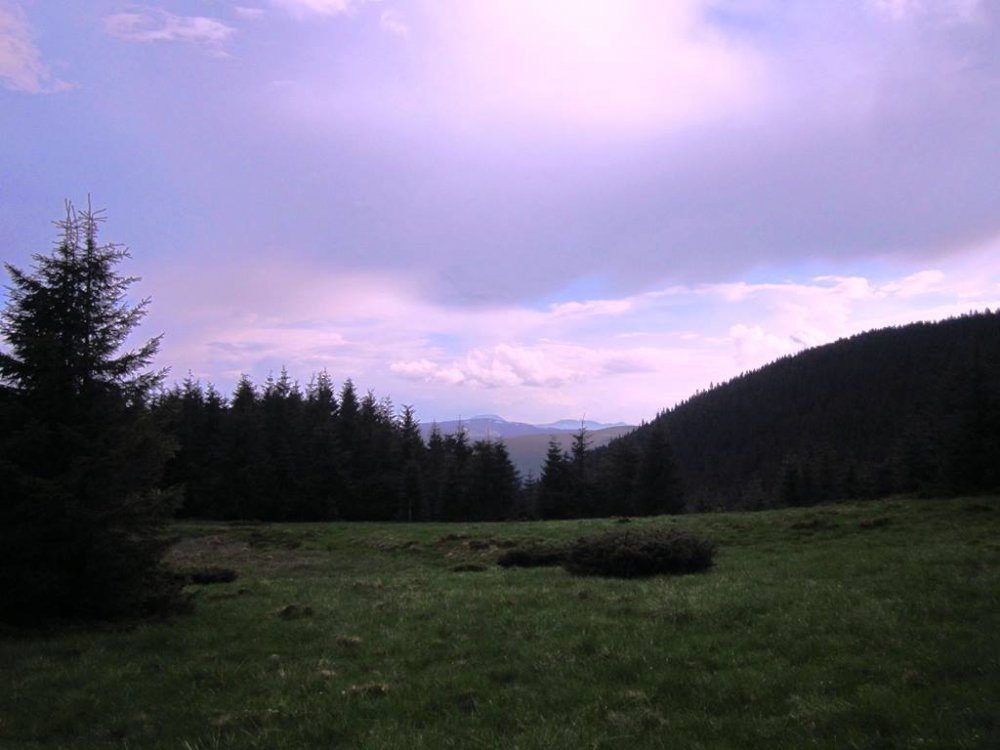 IMG_6798.JPG