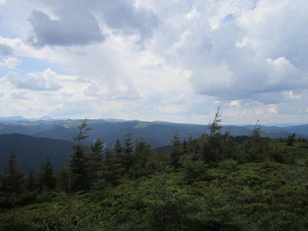 IMG_6884.JPG
