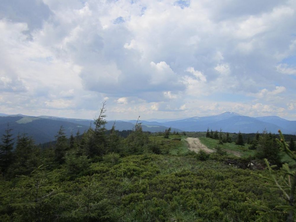 IMG_6885.JPG