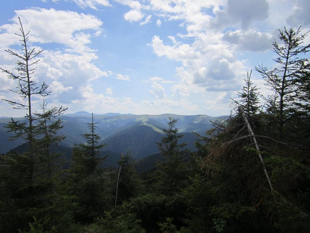 IMG_6892.JPG