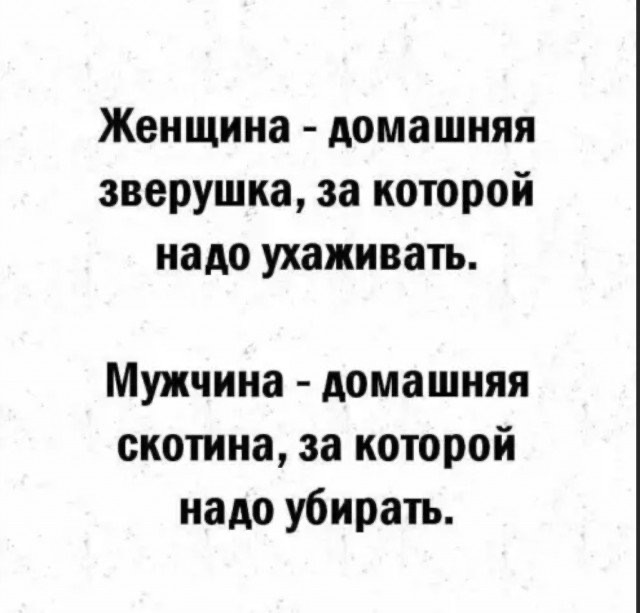 IMG_6904.jpeg