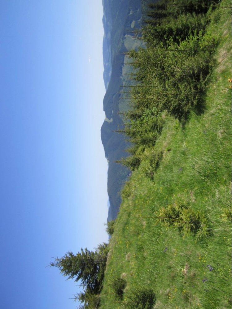 IMG_7040.JPG