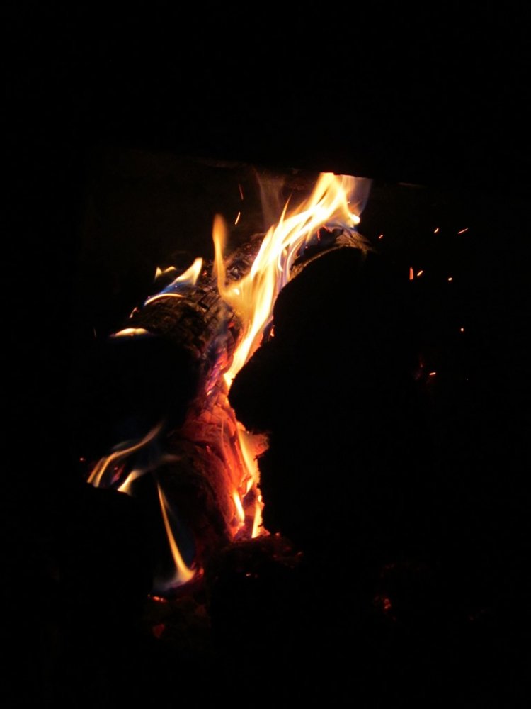 IMG_7079.JPG