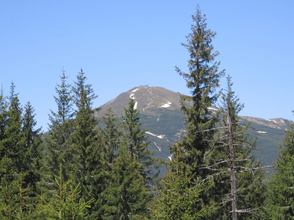IMG_7105.JPG