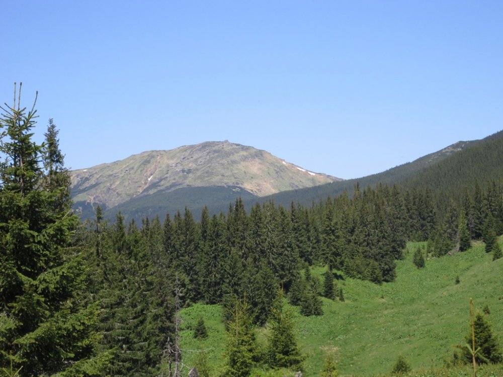IMG_7107.JPG