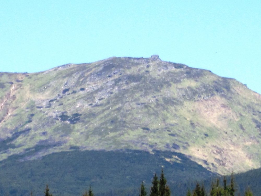 IMG_7112.JPG