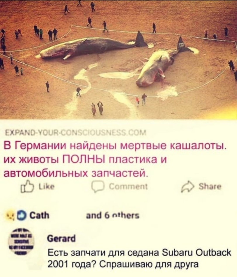 IMG_7165.jpeg