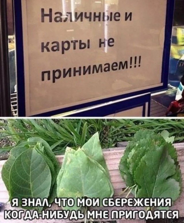 IMG_7243.jpeg