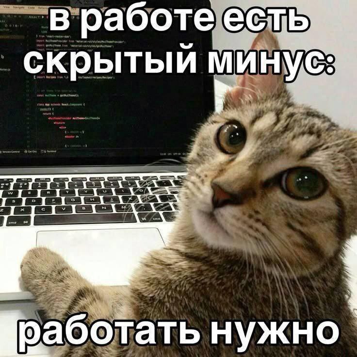 IMG_7349.jpeg