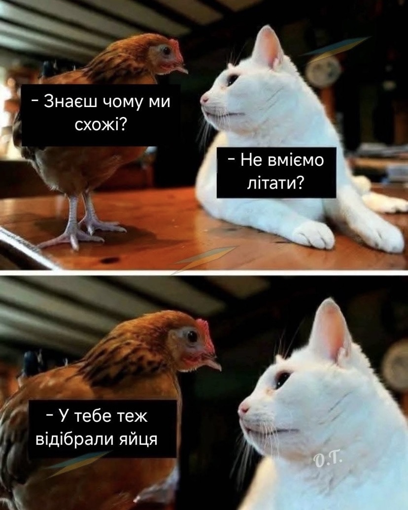 IMG_7669.jpeg