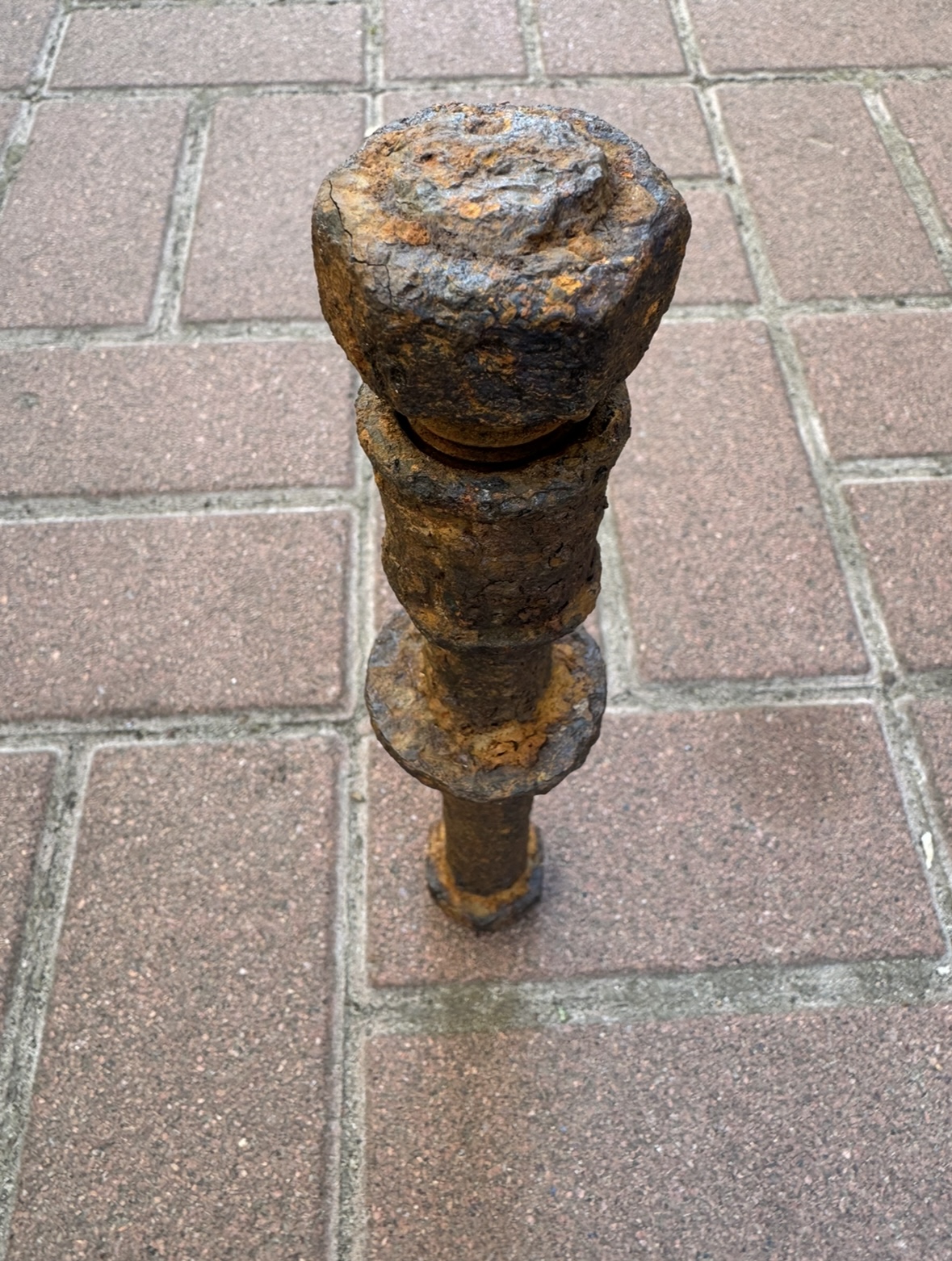 IMG_7680.jpeg
