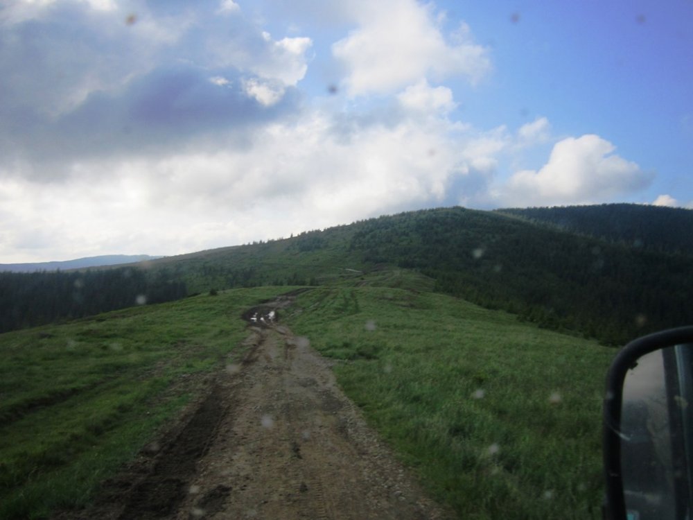 IMG_7690.JPG