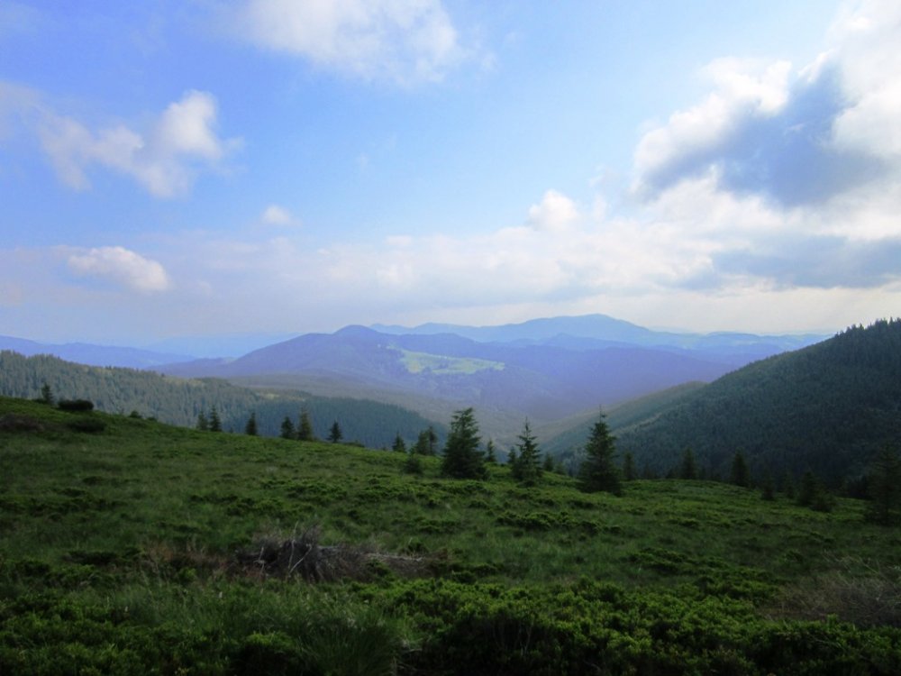 IMG_7692.JPG