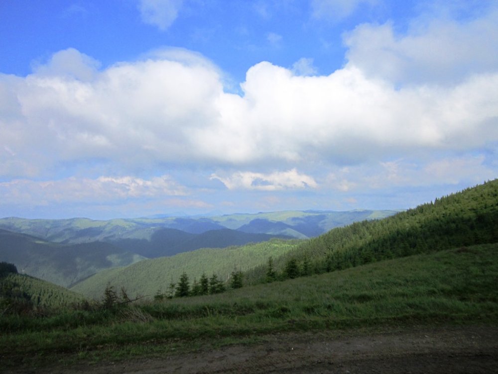 IMG_7694.JPG