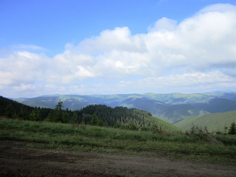 IMG_7695.JPG