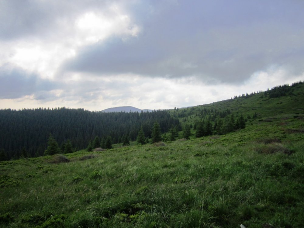IMG_7696.JPG