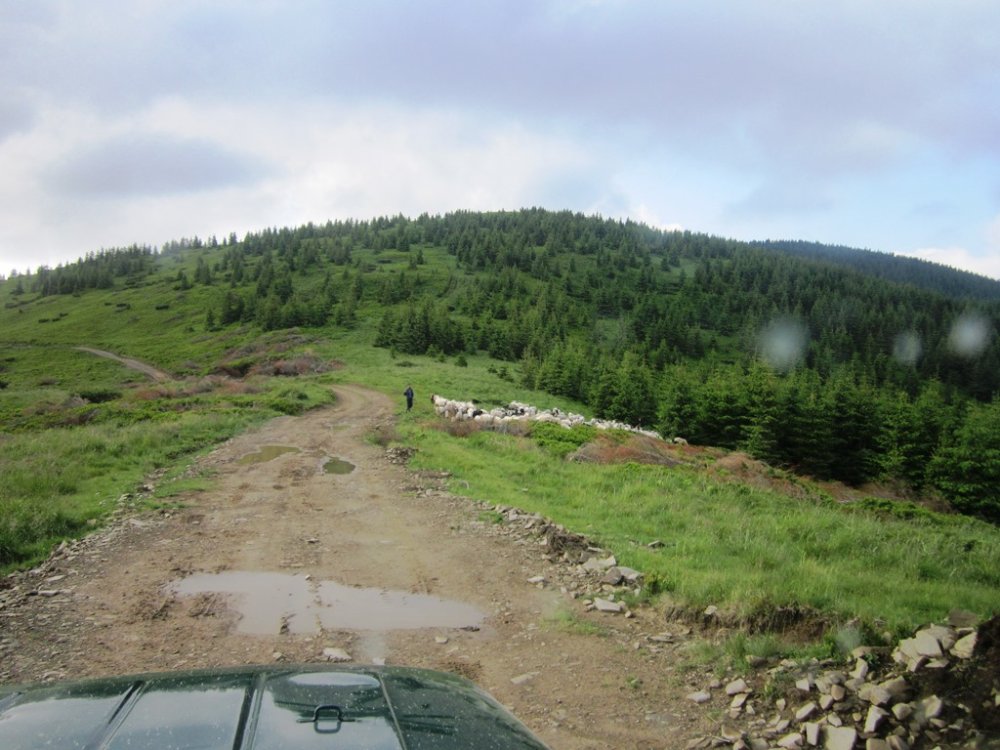 IMG_7697.JPG