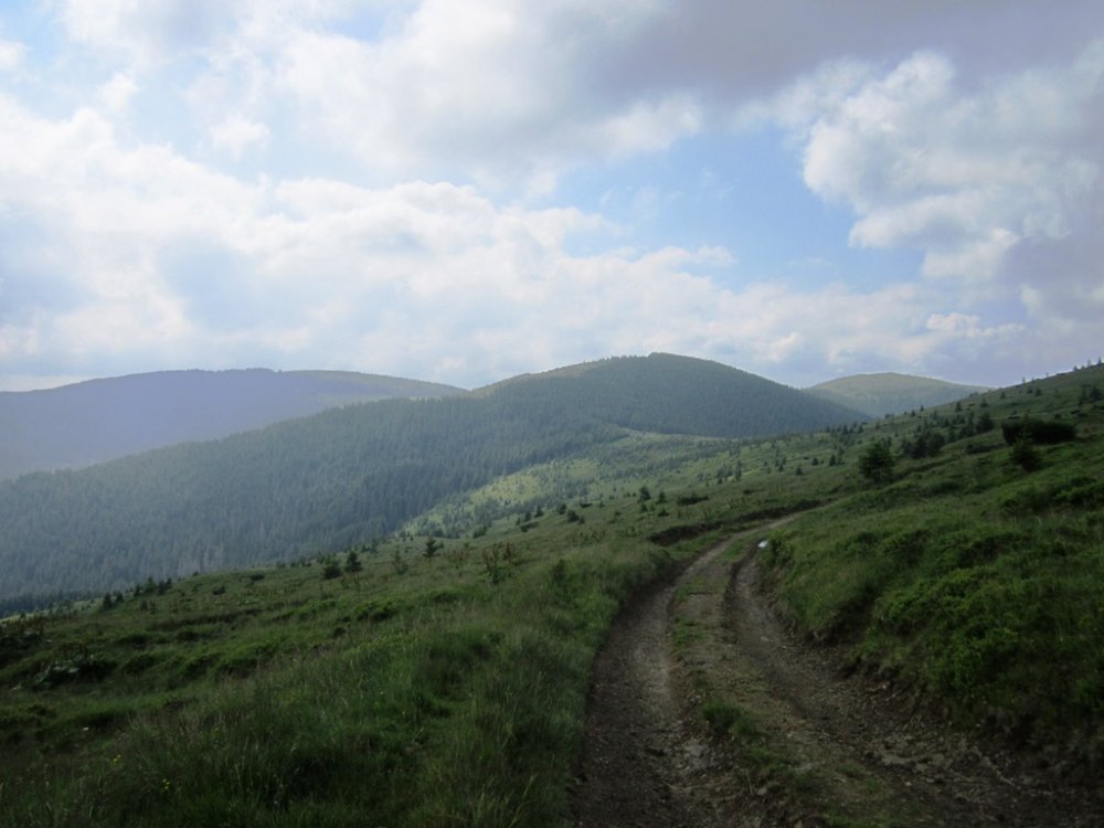 IMG_7699.JPG