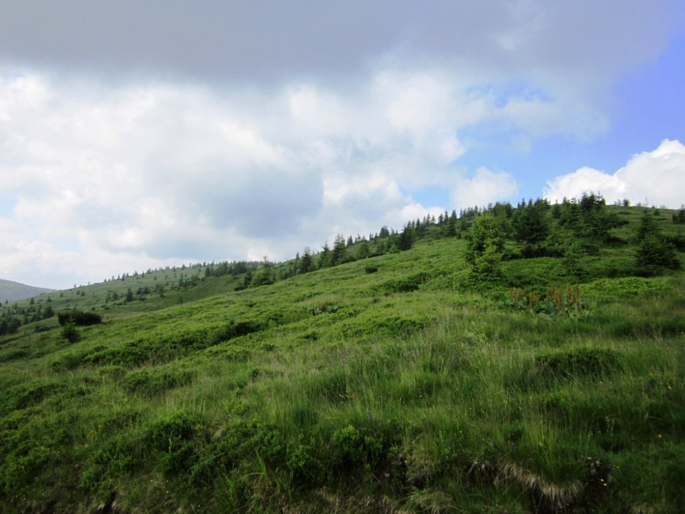 IMG_7700.JPG