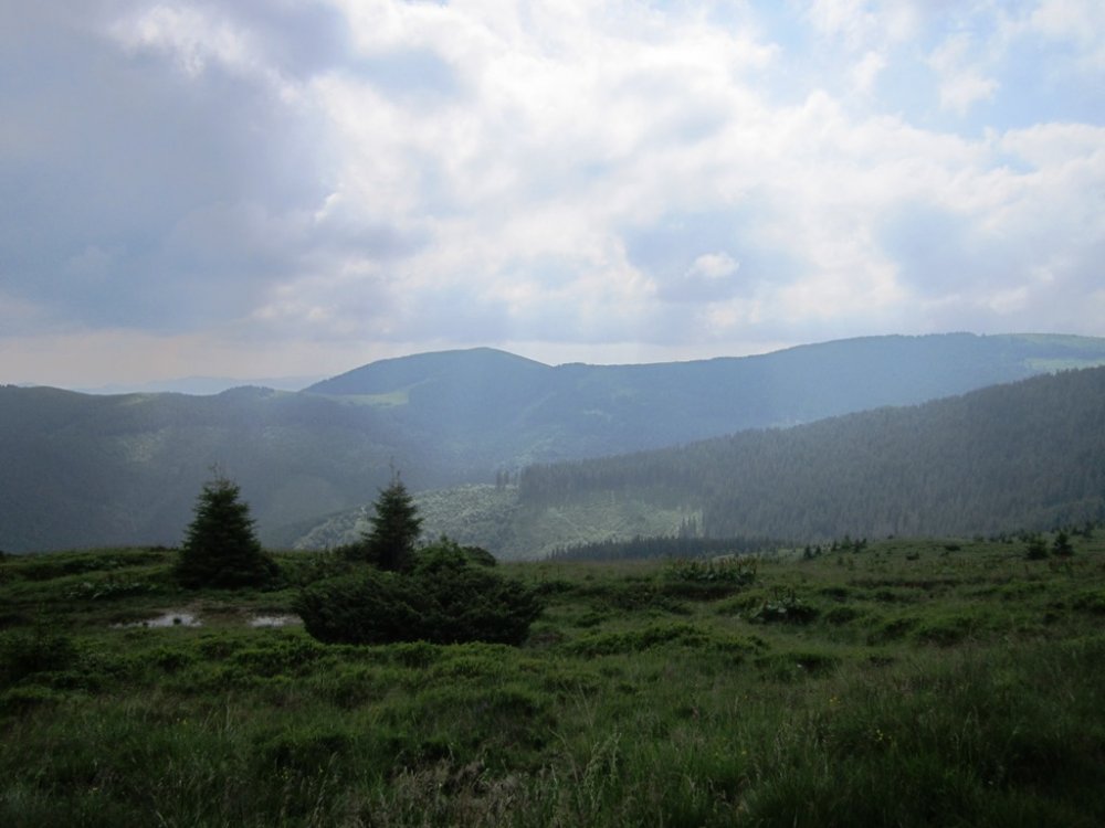 IMG_7701.JPG