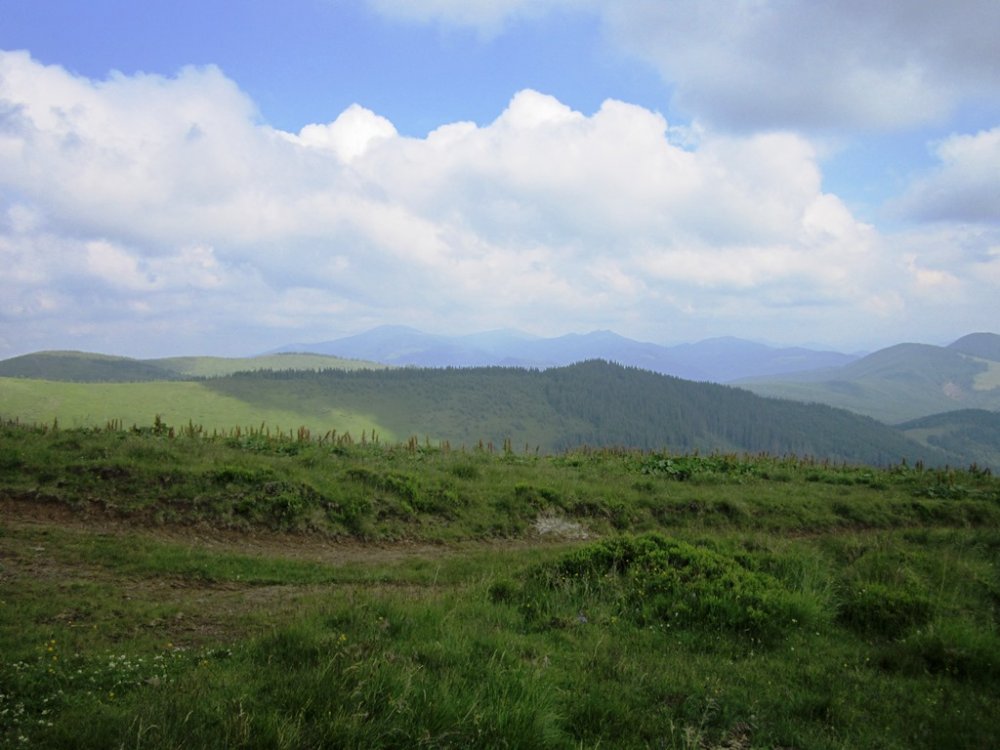 IMG_7702.JPG
