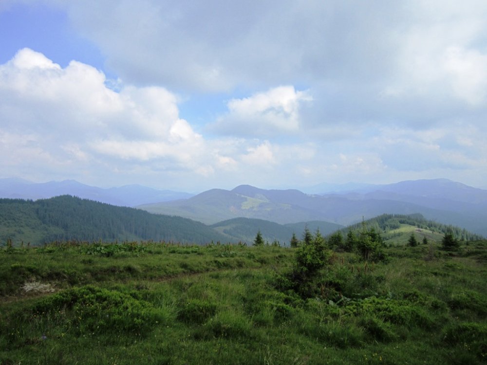 IMG_7703.JPG