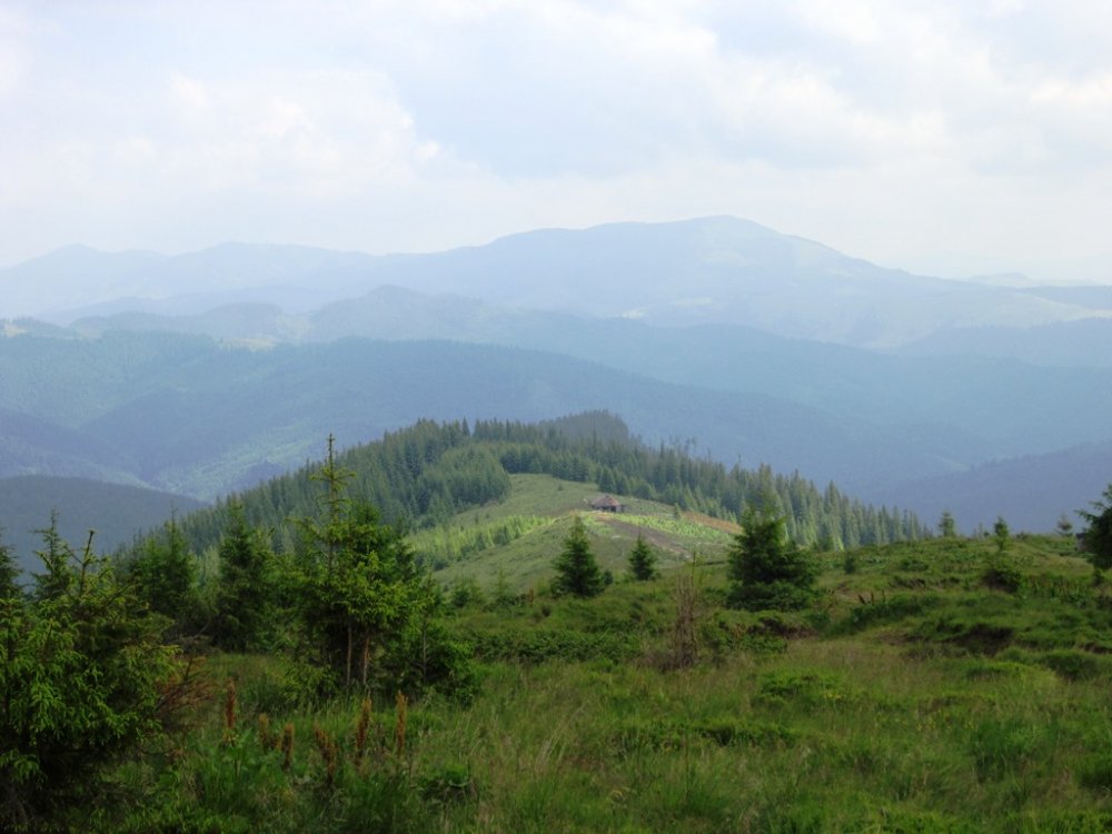 IMG_7705.JPG
