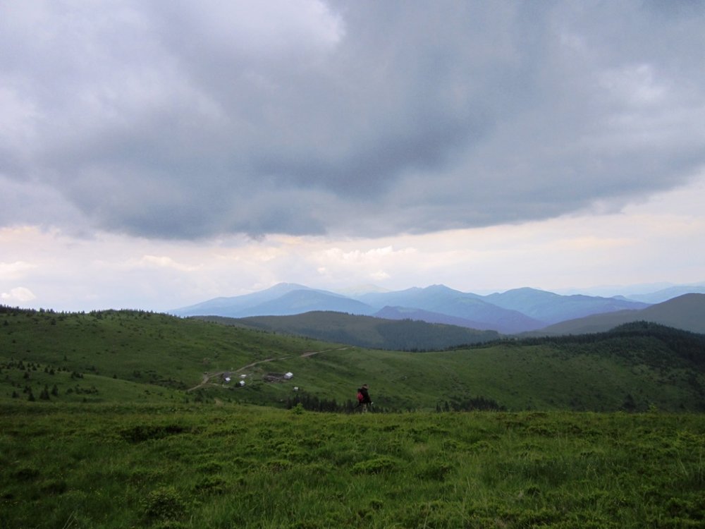 IMG_7714.JPG
