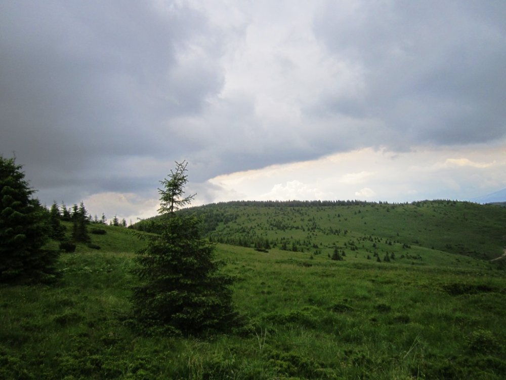 IMG_7715.JPG