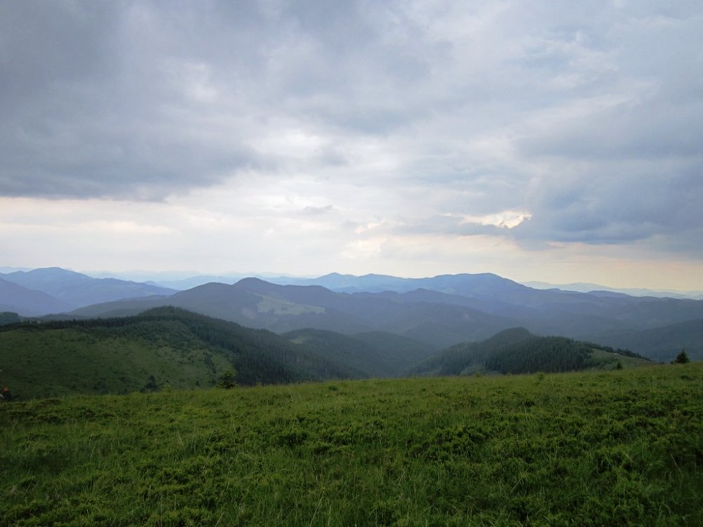 IMG_7716.JPG