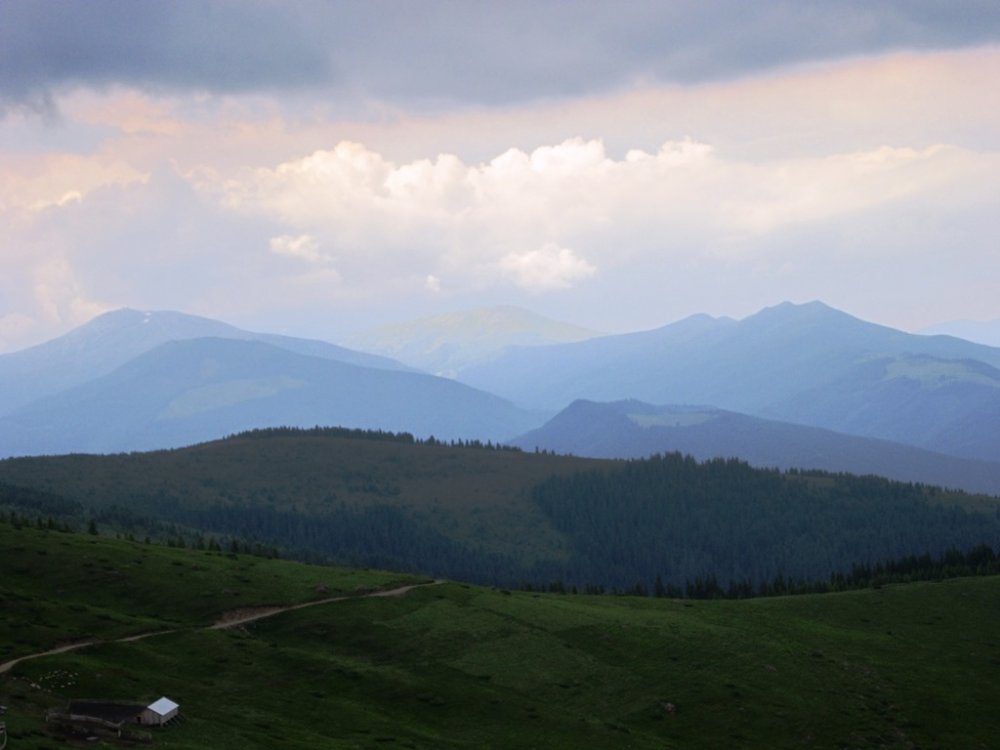 IMG_7718.JPG