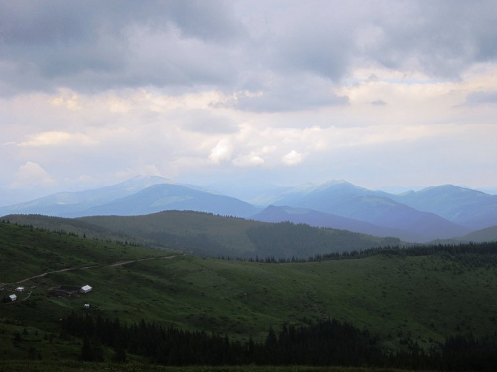 IMG_7719.JPG